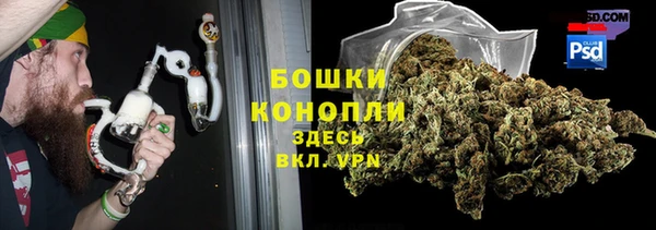 крисы Чекалин