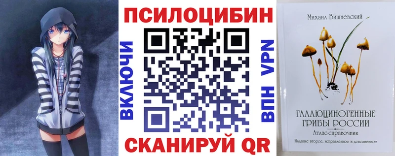Купить где  Мостовской  Псилоцибиновые грибы прущие грибы 